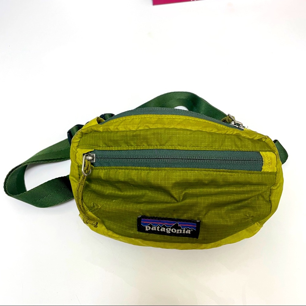 Patagonia green mini hip bag